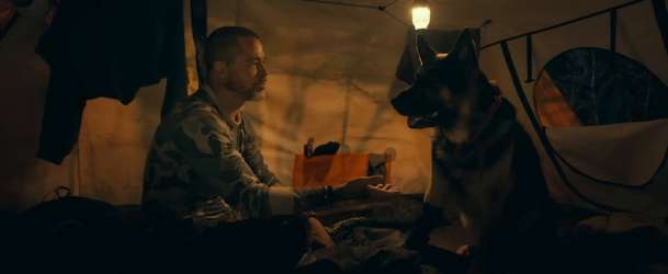 V srdci divočiny: Vzrušující příběh přežití psa a Brada Pitta má 1. trailer | Fandíme filmu