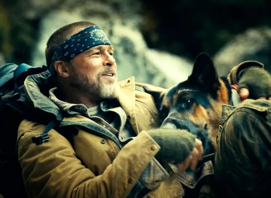 V srdci divočiny: Vzrušující příběh přežití psa a Brada Pitta má 1. trailer | Fandíme filmu