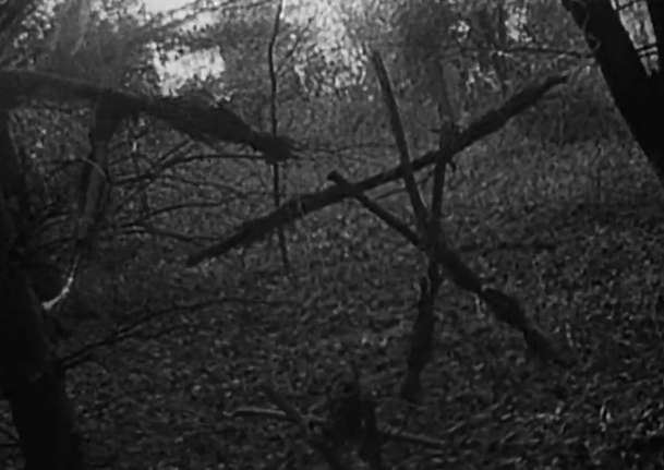 Příští Záhada Blair Witch oznámila datum premiéry | Fandíme filmu
