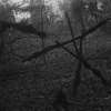 Příští Záhada Blair Witch oznámila datum premiéry | Fandíme filmu
