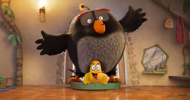 Angry Birds ve filmu 3: Prví trailer ukazuje, že je série pořád slaboučká | Fandíme filmu