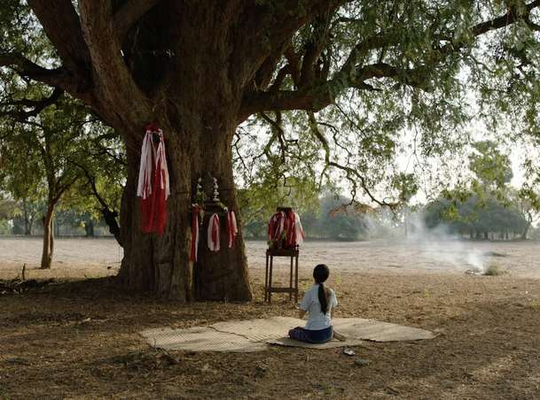Padlé ovoce: Do českých kin vstupuje drama z tvrdého Myanmaru | Fandíme filmu