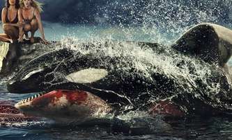 Killer Whale: Biják se zabijáckou kosatkou ukázal ještě jeden trailer | Fandíme filmu