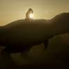 Dinosaurs of The Wild West: Trailer předvedl spojení westernu s pravěkem | Fandíme filmu
