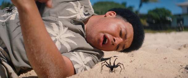 Spider Island: V novém hororu partu influencerů zničí smrtící pavouci | Fandíme filmu