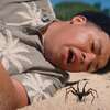 Spider Island: V novém hororu partu influencerů zničí smrtící pavouci | Fandíme filmu