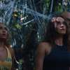 Spider Island: V novém hororu partu influencerů zničí smrtící pavouci | Fandíme filmu