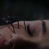 Spider Island: V novém hororu partu influencerů zničí smrtící pavouci | Fandíme filmu