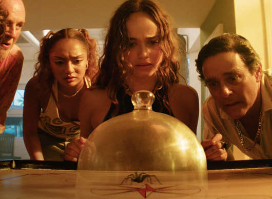 Spider Island: V novém hororu partu influencerů zničí smrtící pavouci | Fandíme filmu