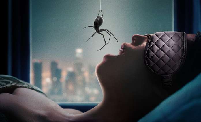 Crawlers: Horor plný pavoučího hnusu ukázal trailer | Fandíme filmu