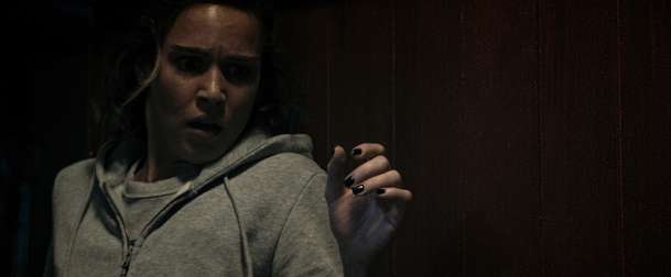 Crawlers: Horor plný pavoučího hnusu ukázal trailer | Fandíme filmu