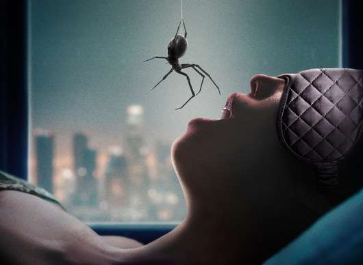 Crawlers: Horor plný pavoučího hnusu ukázal trailer | Fandíme filmu