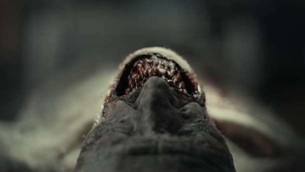 The Cycle: Koukněte na první trailer správně znepokojivého tělesného hororu | Fandíme filmu