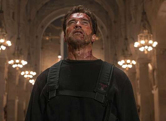 The Protector: Arnold Schwarzenegger chystá akční román | Fandíme filmu