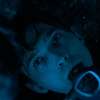 Zajímavosti: Jak se thriller Velrybí pád točil „uvnitř vorvaně“ | Fandíme filmu