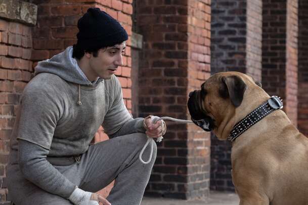Já, Rocky: Chválený příběh o vzniku slavného filmu má nový trailer | Fandíme filmu