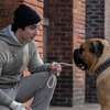 Já, Rocky: Chválený příběh o vzniku slavného filmu má nový trailer | Fandíme filmu