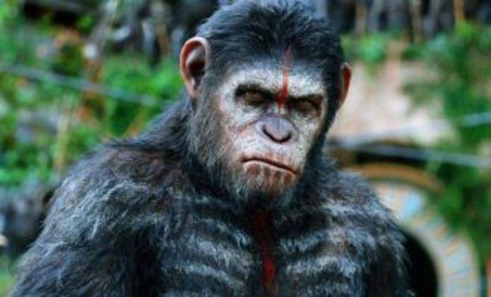 Box Office: My opice vládnout světu | Fandíme filmu
