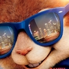 Alvin a Chipmunkové: Čiperná jízda - To se z toho chipnu! | Fandíme filmu