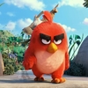 Angry Birds ve filmu: Roztomilé vánoční video a synopse | Fandíme filmu