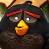 Angry Birds ve filmu: Roztomilé vánoční video a synopse | Fandíme filmu