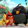 Angry Birds ve filmu: Roztomilé vánoční video a synopse | Fandíme filmu