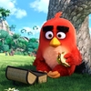 Angry Birds ve filmu: Roztomilé vánoční video a synopse | Fandíme filmu