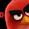 Angry Birds ve filmu: Roztomilé vánoční video a synopse | Fandíme filmu