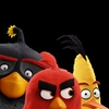 Angry Birds ve filmu: Roztomilé vánoční video a synopse | Fandíme filmu