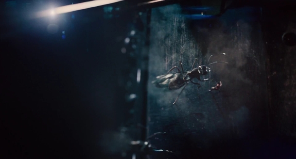 Ant-Man: Trailer pod lupou | Fandíme filmu