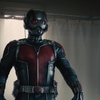 Ant-Man 3: Koho hraje Bill Murray? | Fandíme filmu