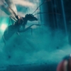 Ant-Man: Trailer pod lupou | Fandíme filmu