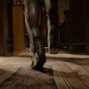 Ant-Man: Trailer pod lupou | Fandíme filmu