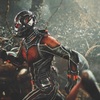 Ant-Man: Ve filmu se má objevit alespoň jeden Avenger | Fandíme filmu