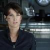 Cobie Smulders | Fandíme filmu