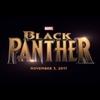 Black Panther | Fandíme filmu