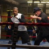 Creed: Stallone školí mladé ucho v novém featurettu | Fandíme filmu