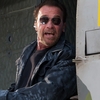 Expendables 4: Schwarzenegger nebude točit bez Stallonea | Fandíme filmu