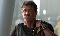 Stallone: Vyměknutí Expendables byla velká chyba | Fandíme filmu