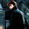 Eddie Redmayne málem hrál záporáka v Harrym Potterovi | Fandíme filmu