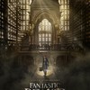 Fantastická zvířata a kde je najít | Fandíme filmu