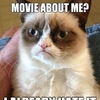 Grumpy Cat: Z internetového virálu bude film | Fandíme filmu