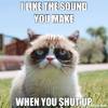 Grumpy Cat: Z internetového virálu bude film | Fandíme filmu