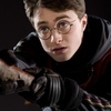 Fantastická zvířata vs. Harry Potter - Podobnost a rozdíly | Fandíme filmu