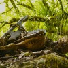 Hobit: Peter Jackson mění závěr | Fandíme filmu