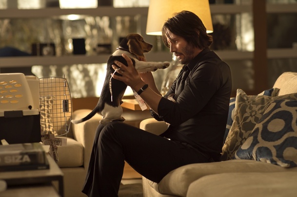 John Wick | Fandíme filmu