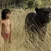 Kniha džunglí: Prodloužený trailer a plakáty | Fandíme filmu