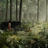 Kniha džunglí: Prodloužený trailer a plakáty | Fandíme filmu