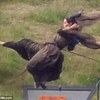 Maleficent: Angelina Jolie bude létat a bojovat epické bitvy | Fandíme filmu