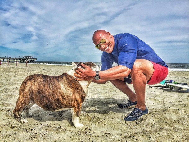 Dwayne Johnson s chutí převzal Zlatou malinu za Baywatch | Fandíme filmu